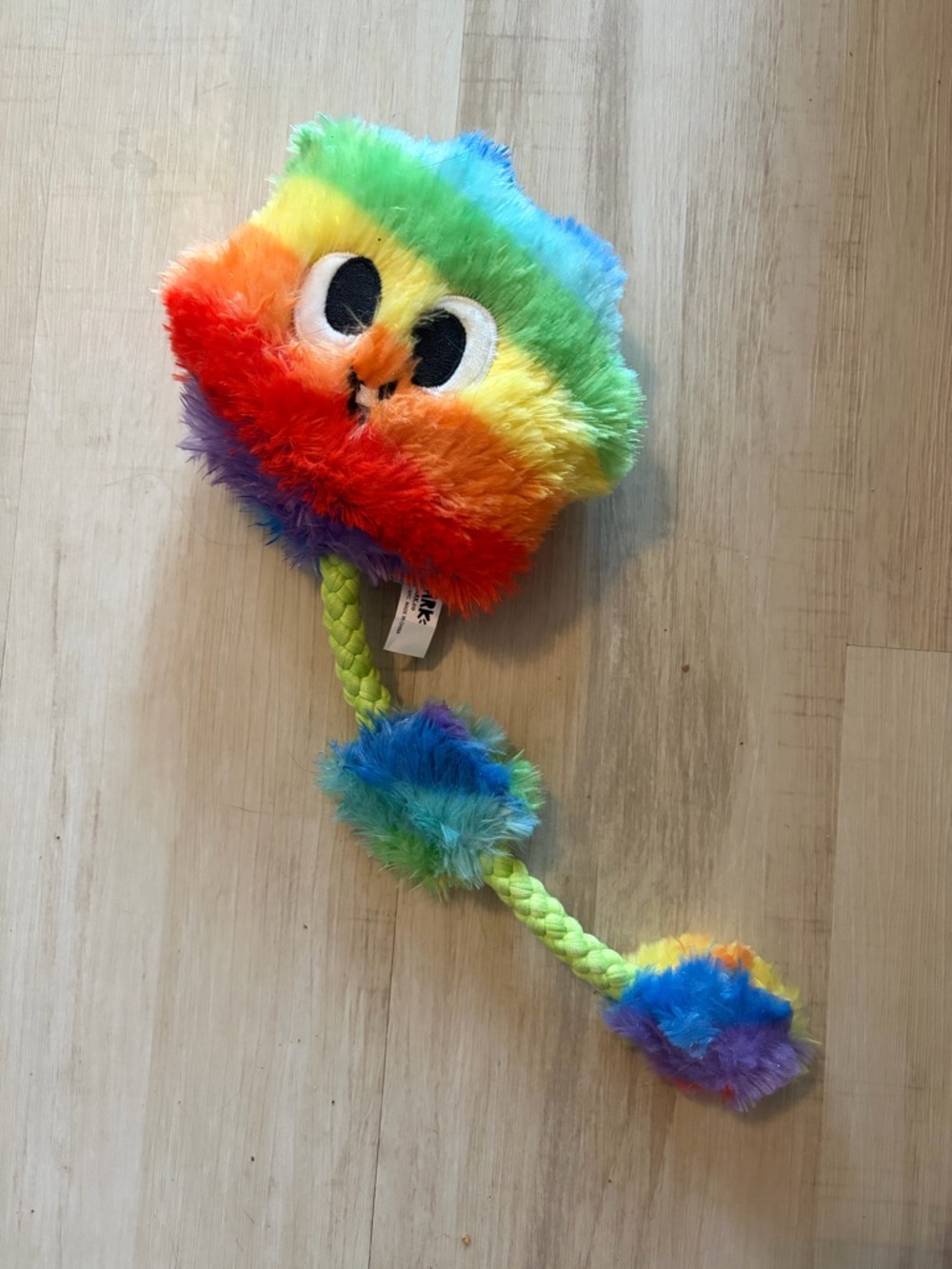 Bark Tooty the Toot Rainbow Plush Toy